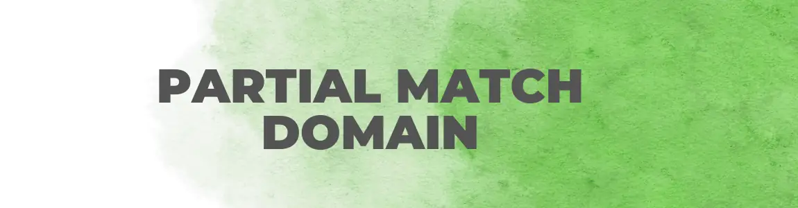 Partial Match Domain